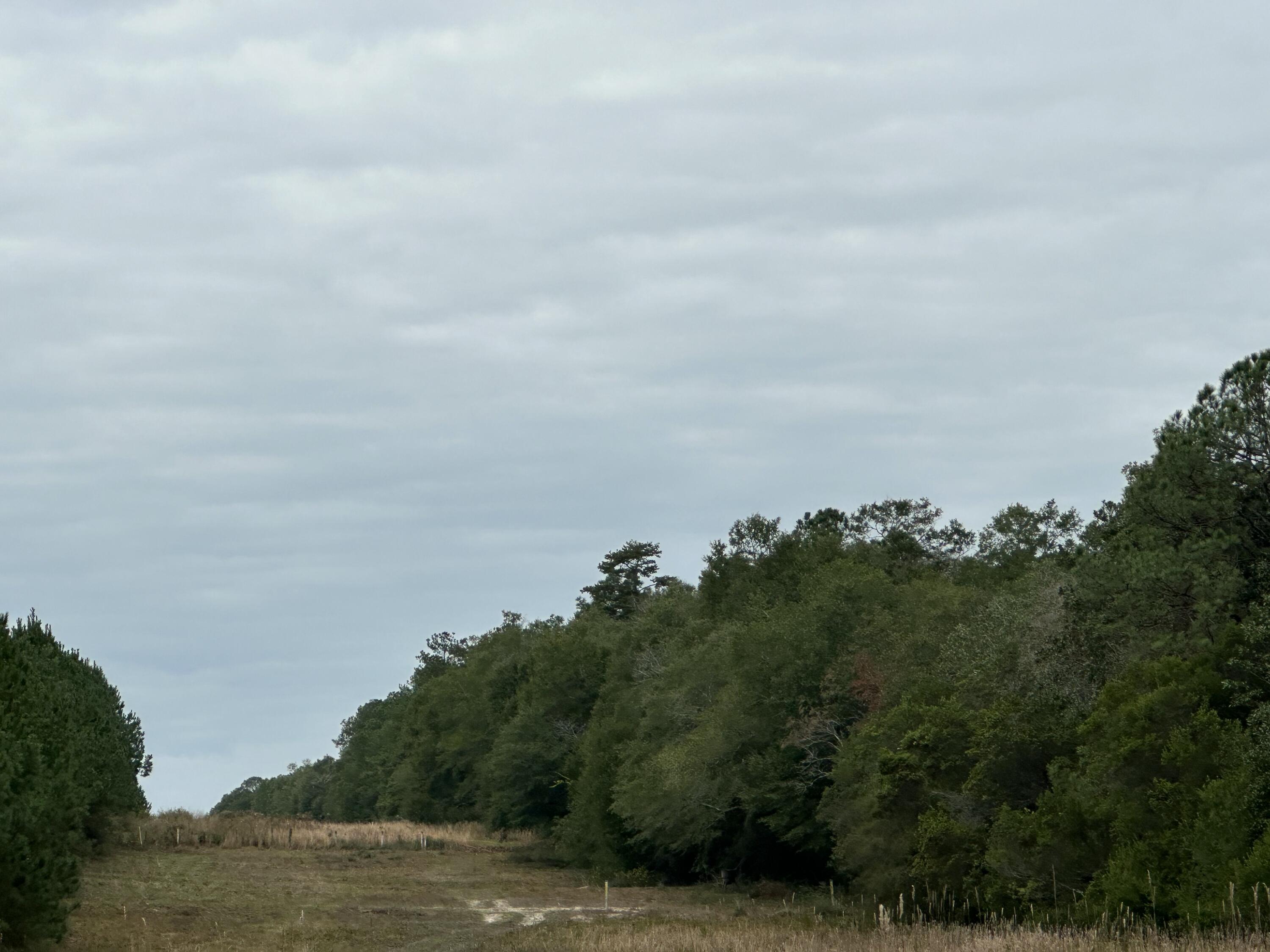 NO RECORDED SUBDIVISION - Farm