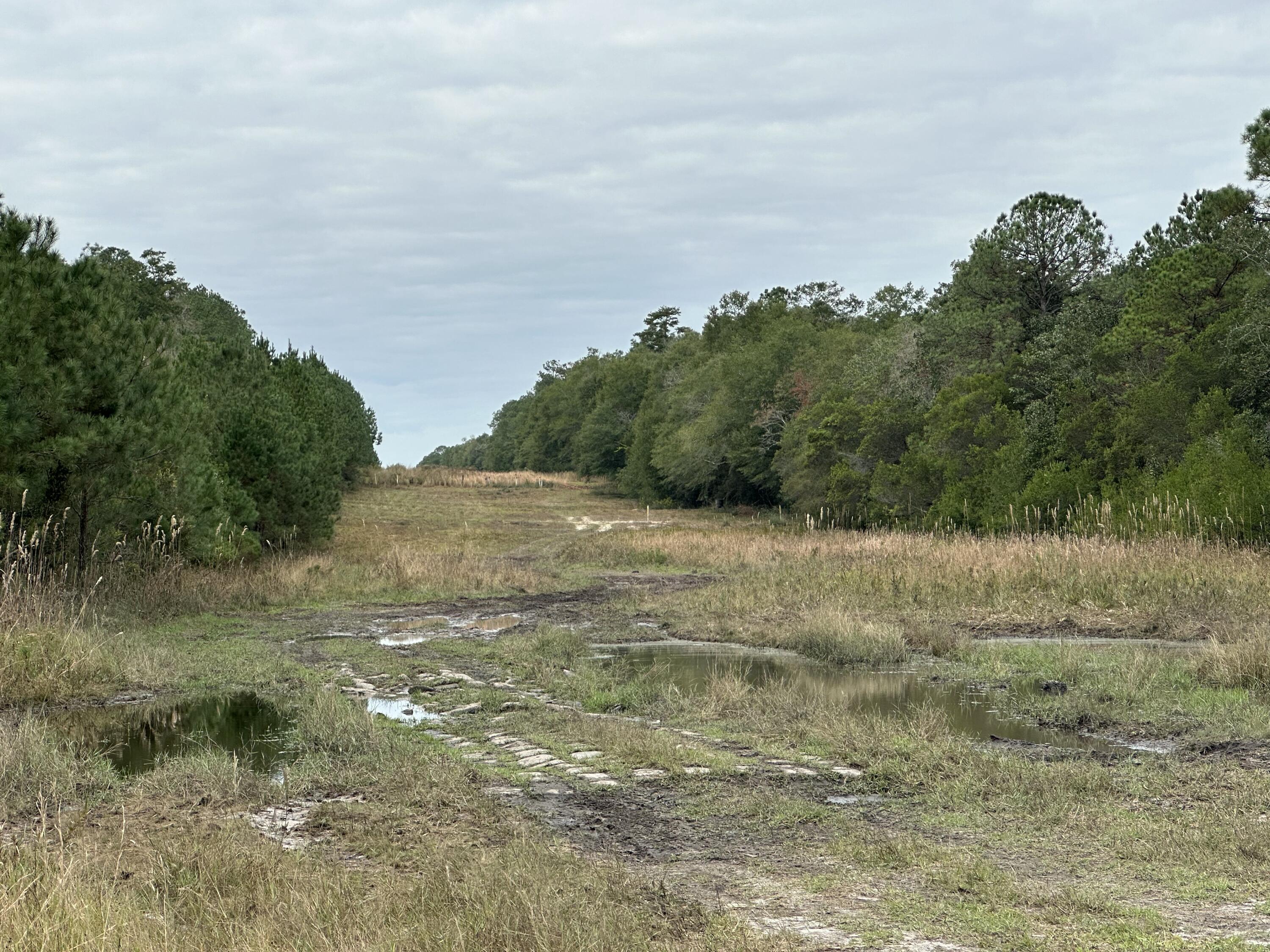 NO RECORDED SUBDIVISION - Farm