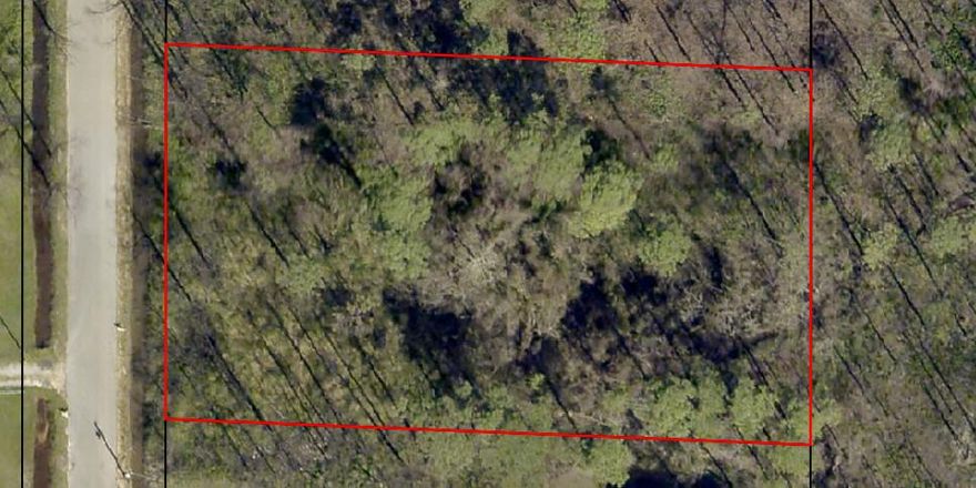 Residential Lot at an awesome price!  Looking for Quiet, here it is.