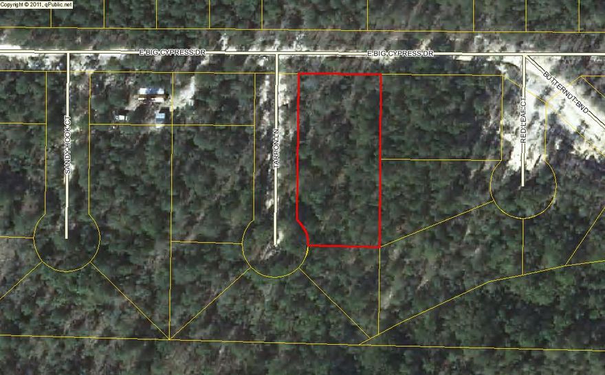 Four lots located conveniently to Crestview and DeFuniak Springs. Invest now! This area is growing quickly!