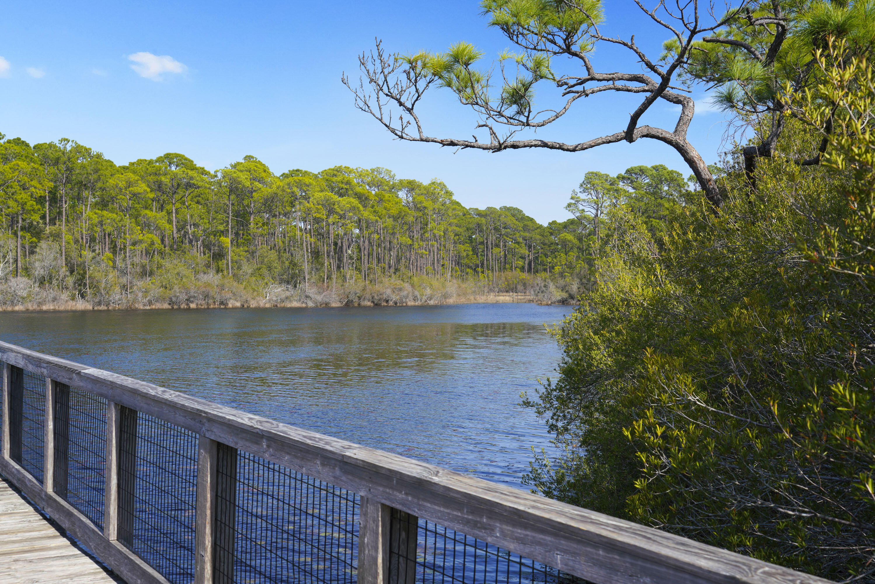 WATERSOUND WEST BEACH - Residential