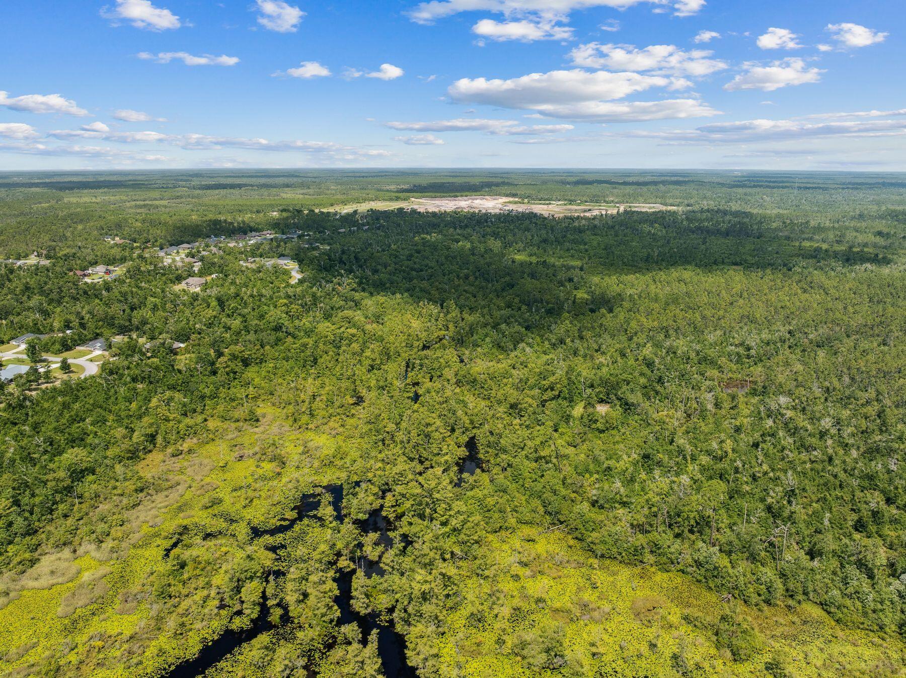 CEDAR CREEK CHASE - Land