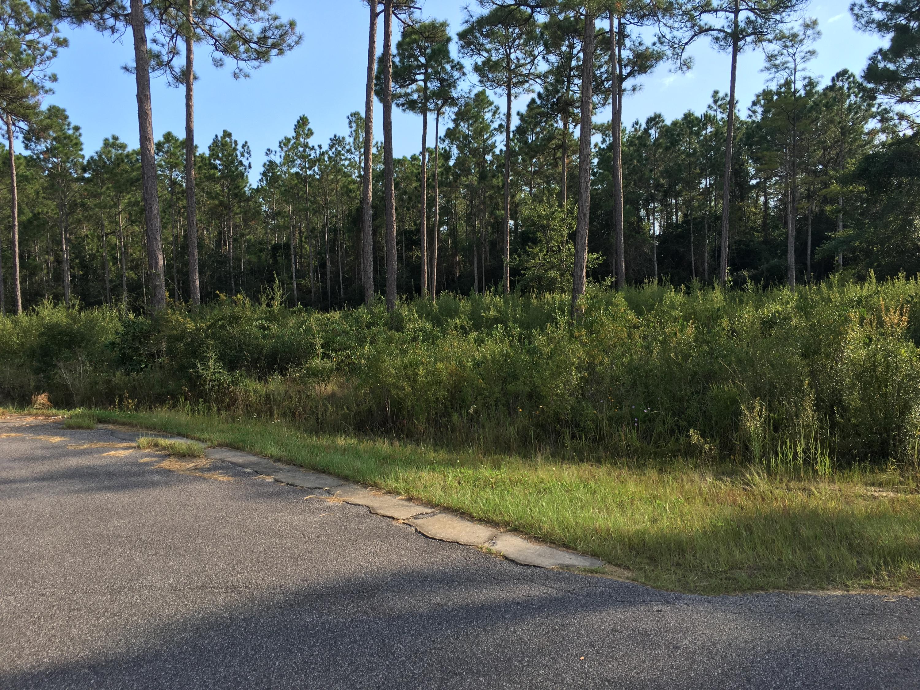 Great 1.2 acre lot in north Santa Rosa Beach, of which .25 acres is buildable area (please see survey in the Photo section). This lot is located at the end of a cul-de-sac in the subdivision of Camille Estates. This very private property is convenient to the beaches and shopping. Camille Estates is located 1 mile from the Bay, 1.5 miles to the boat ramp at Cessna Park and just over 4 miles to public beach access on the Gulf. The Lot also features county drainage canals on the South and East sides. This is a prime location to build your dream home. All lots in Camille Estates do have protected lands on them but there is a ample space to build a great home.