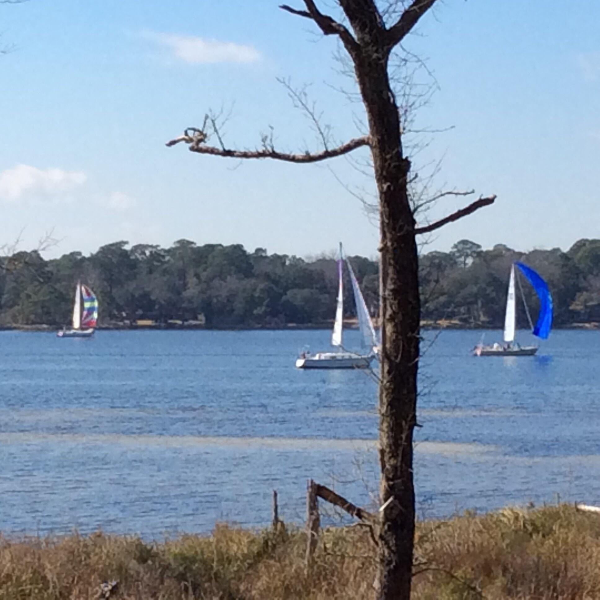 MARINA COVE VILLAGE PH 2 - Residential