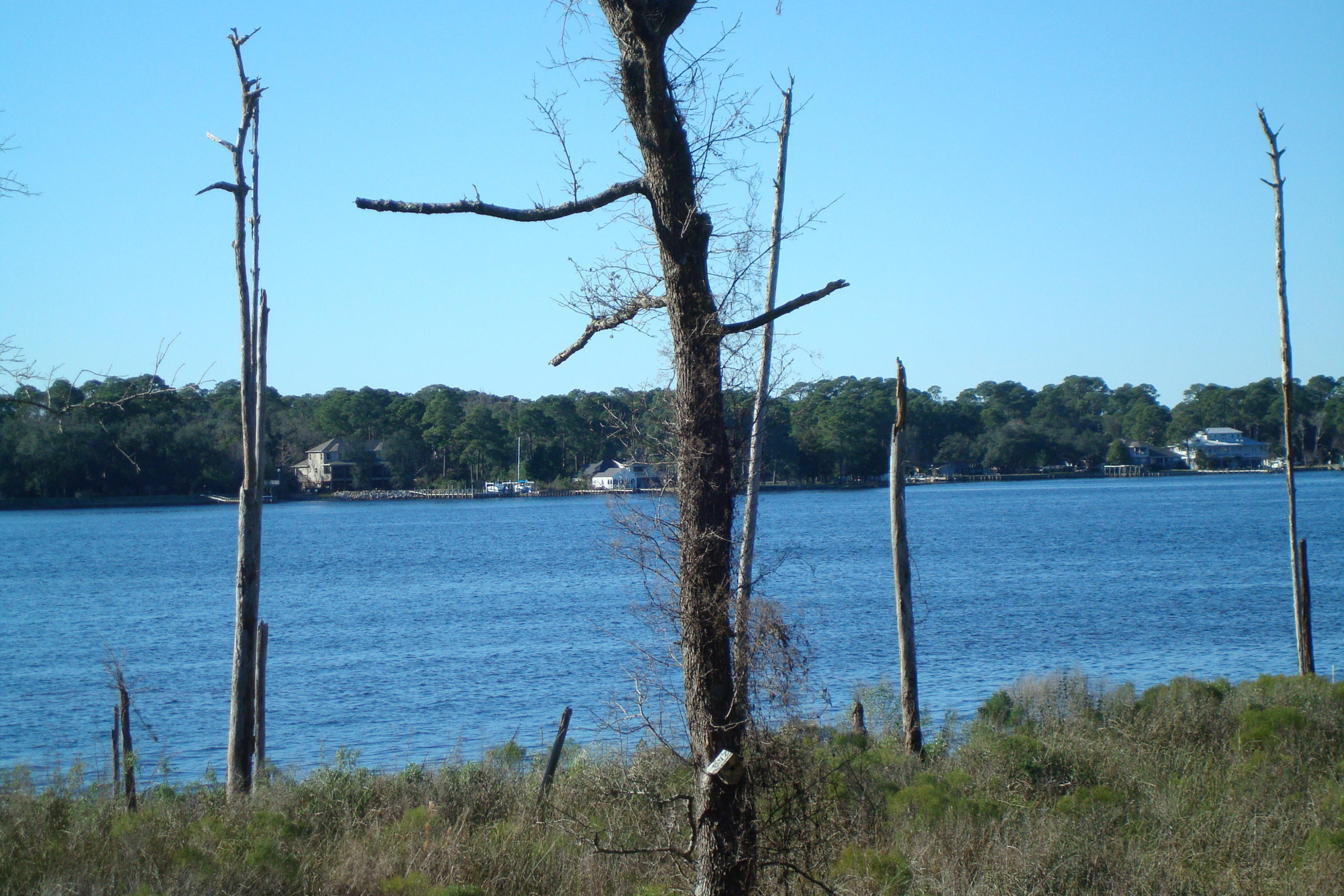 MARINA COVE VILLAGE PH 2 - Residential