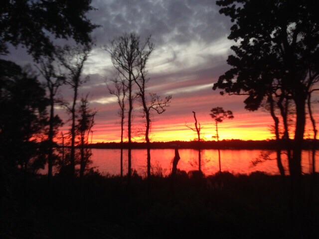 MARINA COVE VILLAGE PH 2 - Residential