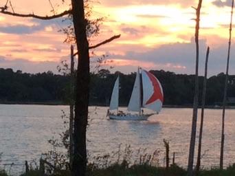 MARINA COVE VILLAGE PH 2 - Residential