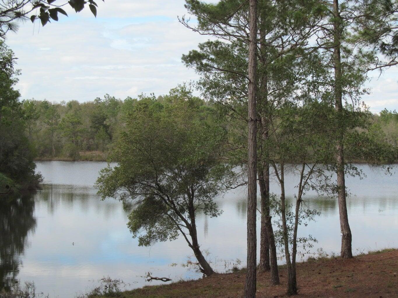 MAGNOLIA LAKE-PHASE ONE - Land