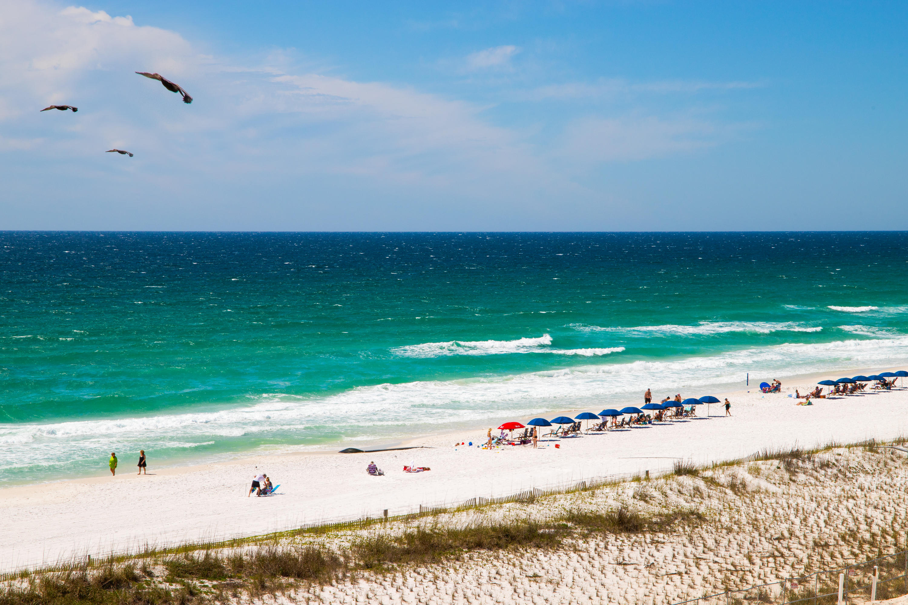 Islander Beach Resort & Condo - Residential