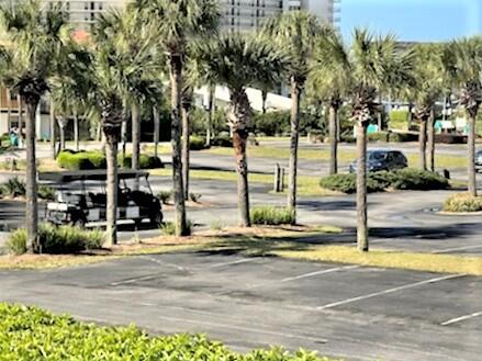 EDGEWATER BEACH CONDO PH 2 - Residential