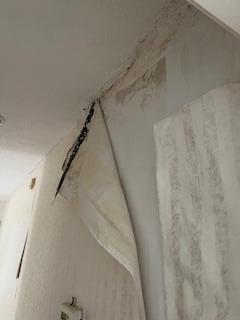 PALM SHORES - Residential