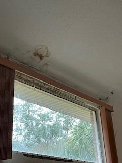 PALM SHORES - Residential