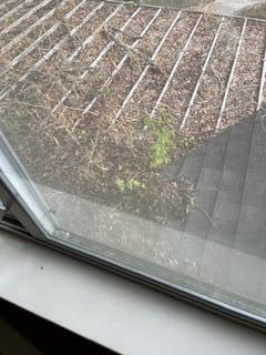 PALM SHORES - Residential