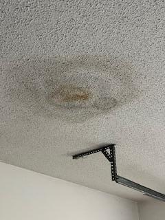 PALM SHORES - Residential