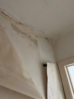 PALM SHORES - Residential