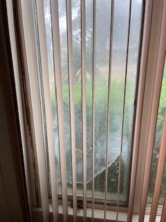 PALM SHORES - Residential