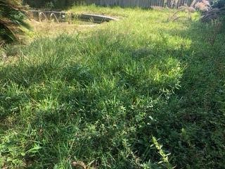 PALM SHORES - Residential