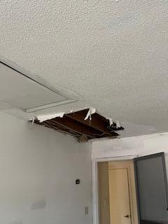 PALM SHORES - Residential