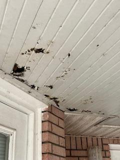 PALM SHORES - Residential