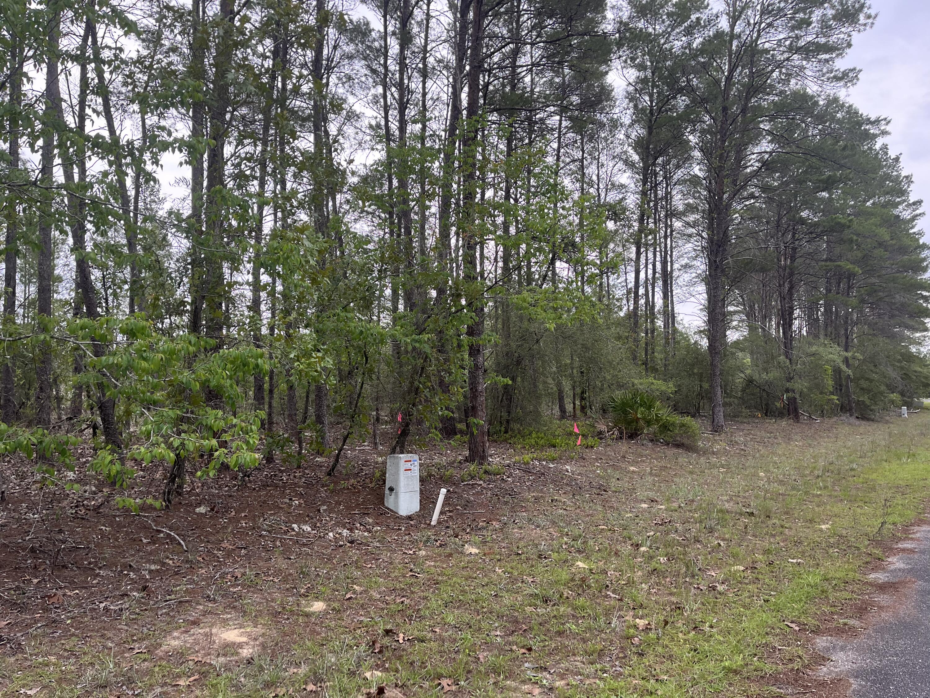 Red Bay Golf Club Phase I - Land