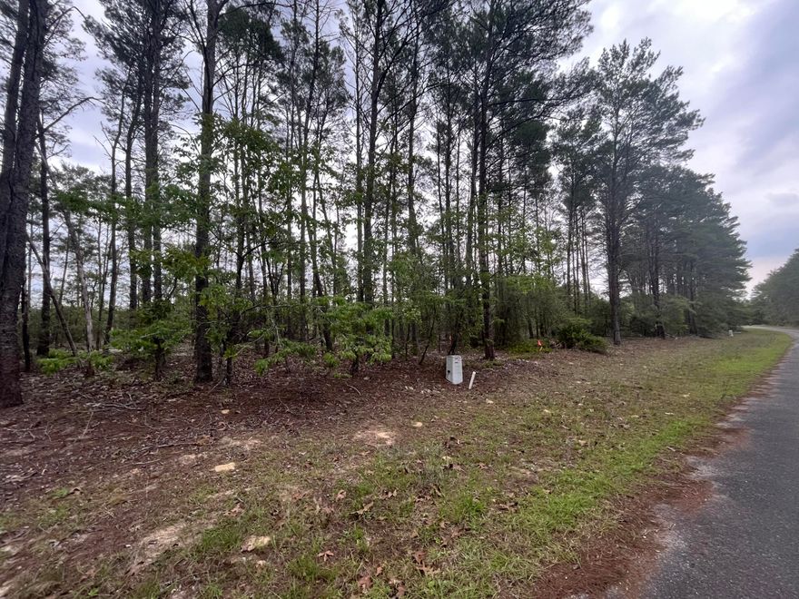 Quiet Location! Great place to build your 'forever' home! LOT #32.