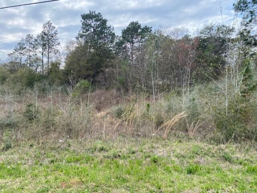 Vacant lot in good location to downtown. Buyer to verify all measurements and pertinent information.
