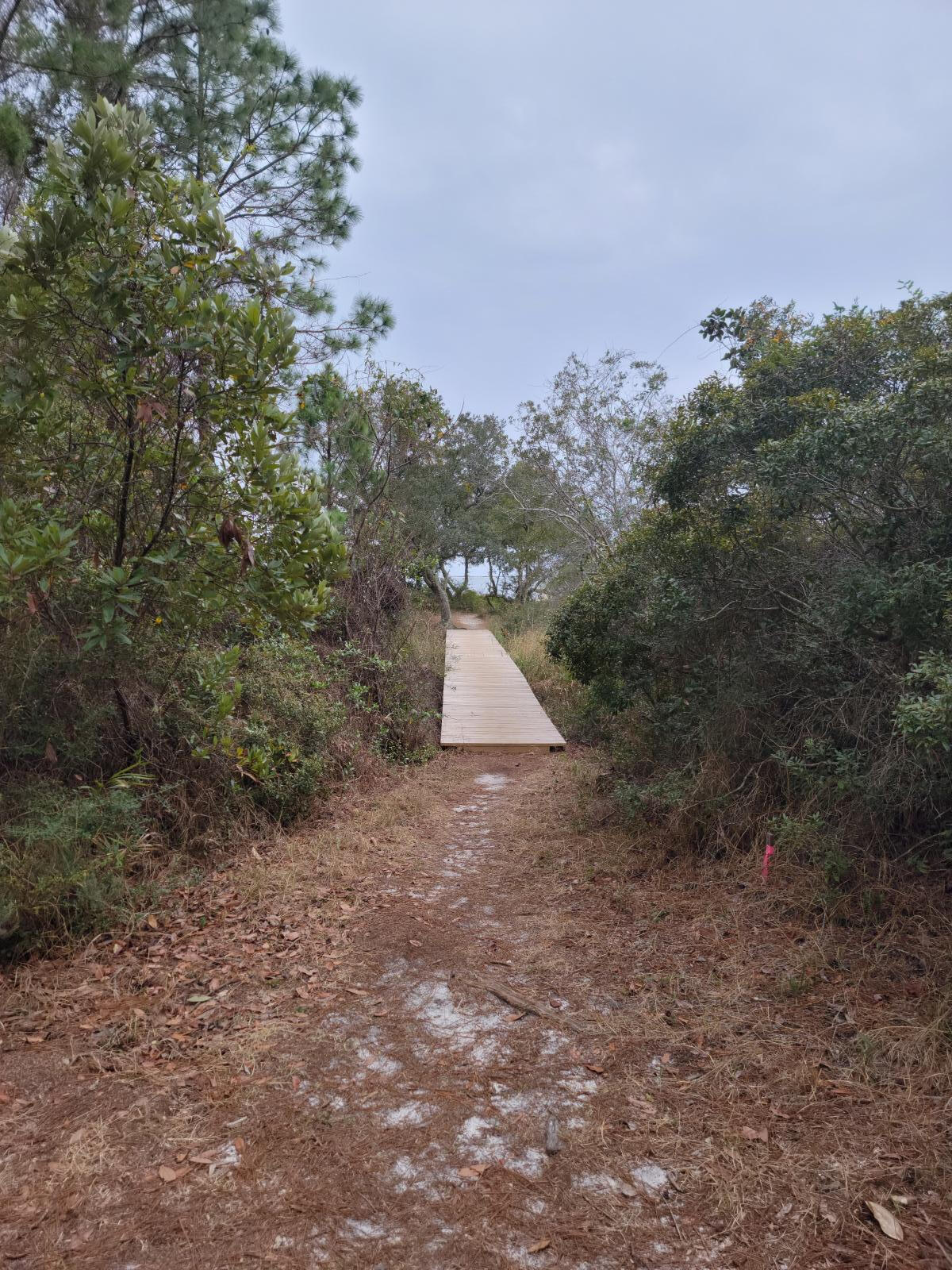 SOUND HAMMOCK - Residential Lease