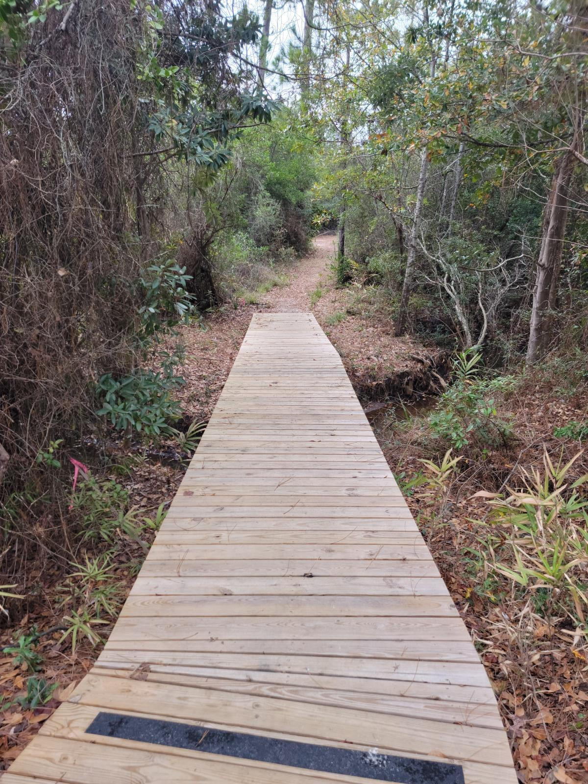 SOUND HAMMOCK - Residential Lease