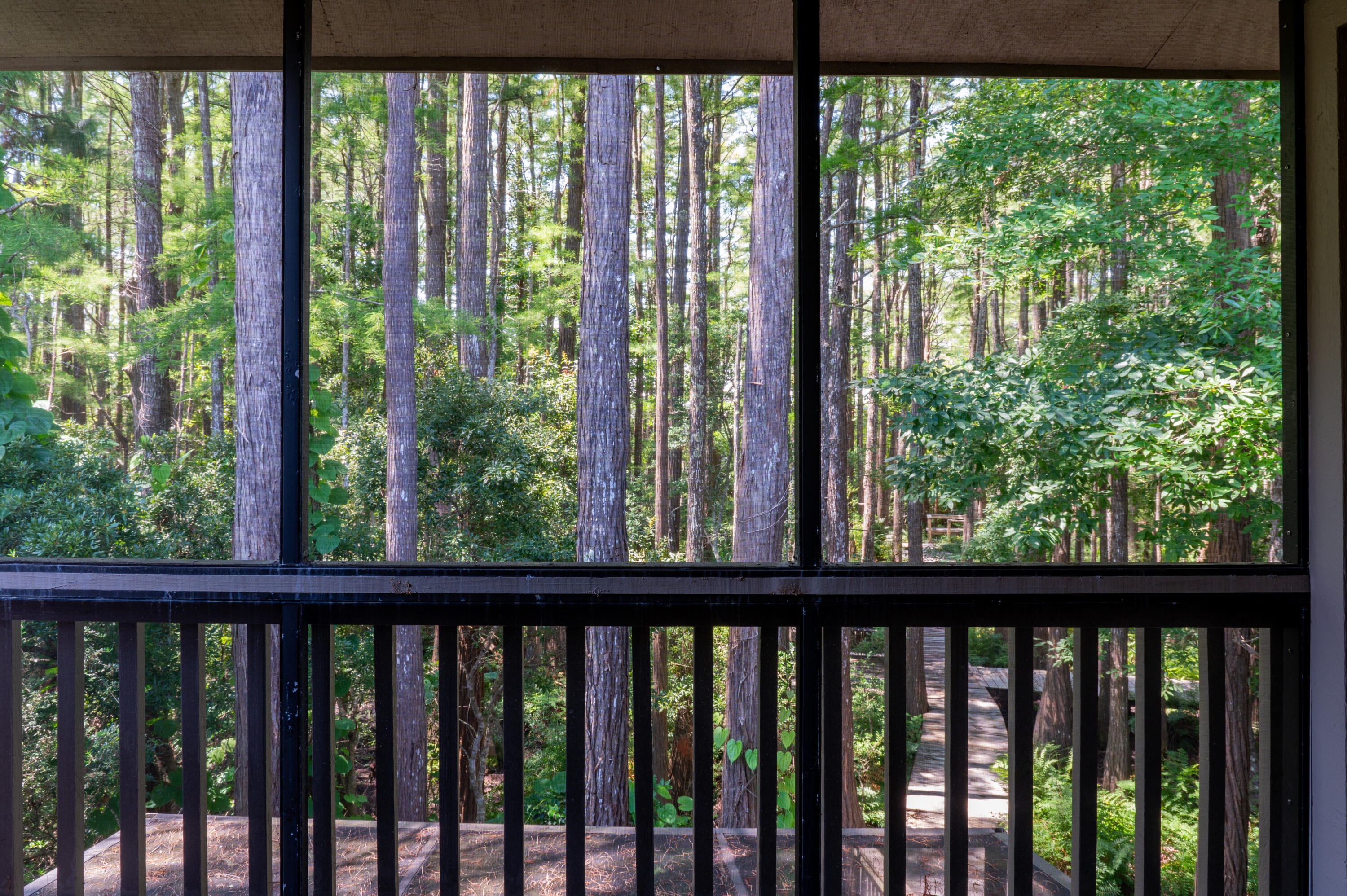 CASSINE GARDENS T/H PH 4 - Residential