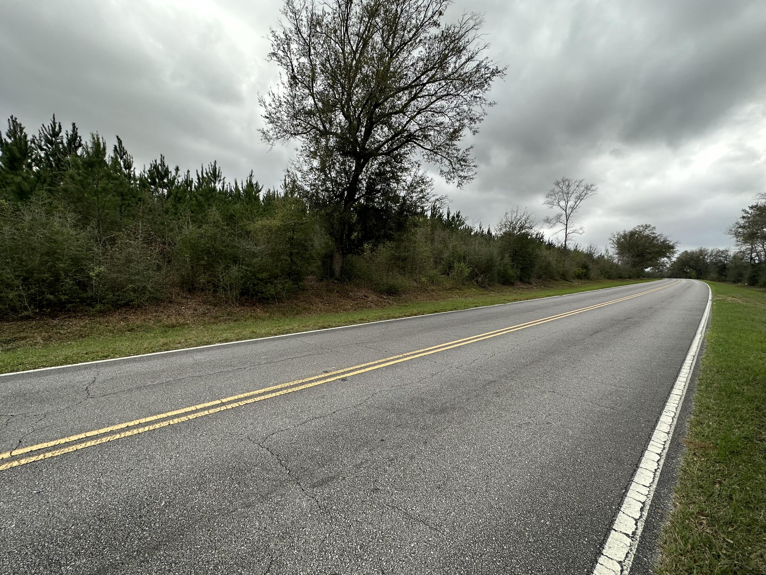 Dream Location for Country Living or Hunters Paradise either way you won't want to miss this opportunity! This Beautiful 39+/- Acres of prime land has so much to offer Newley paved rd and power available. Turkey season coming soon! Bring your build plans, hunting gear, Horses and ATVS LOCATION LOCATION!!!! This Property has Easy Access to Panama City Beaches I-10, Hwy 79, Hwy 81, and Hwy 90.