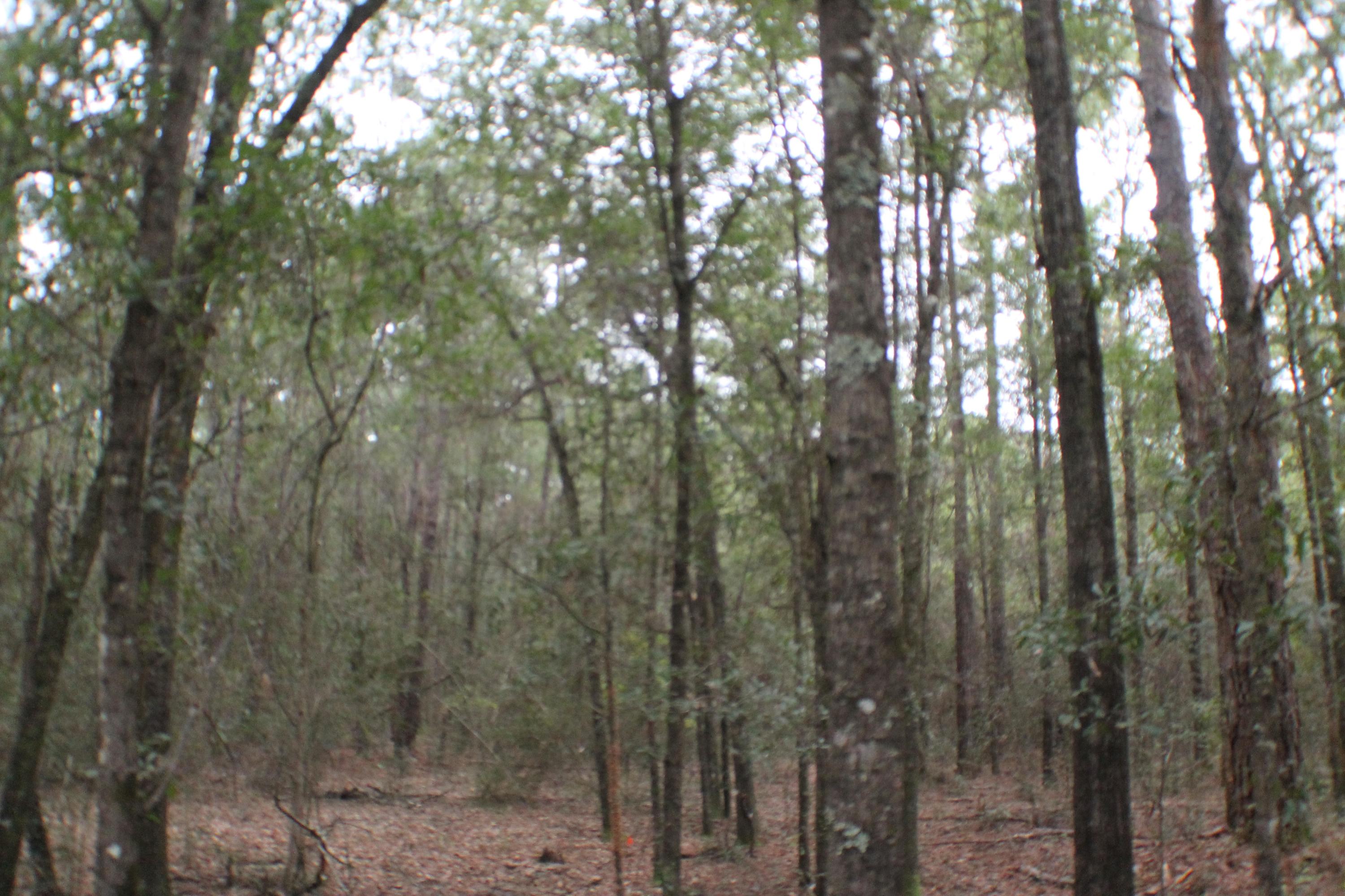 Metes and Bounds - Land