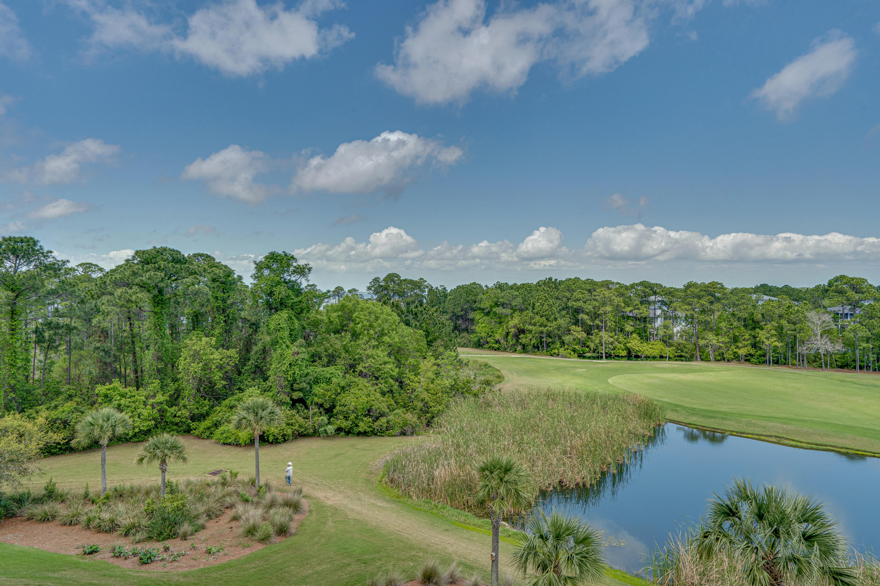 Elation - Residential Lease