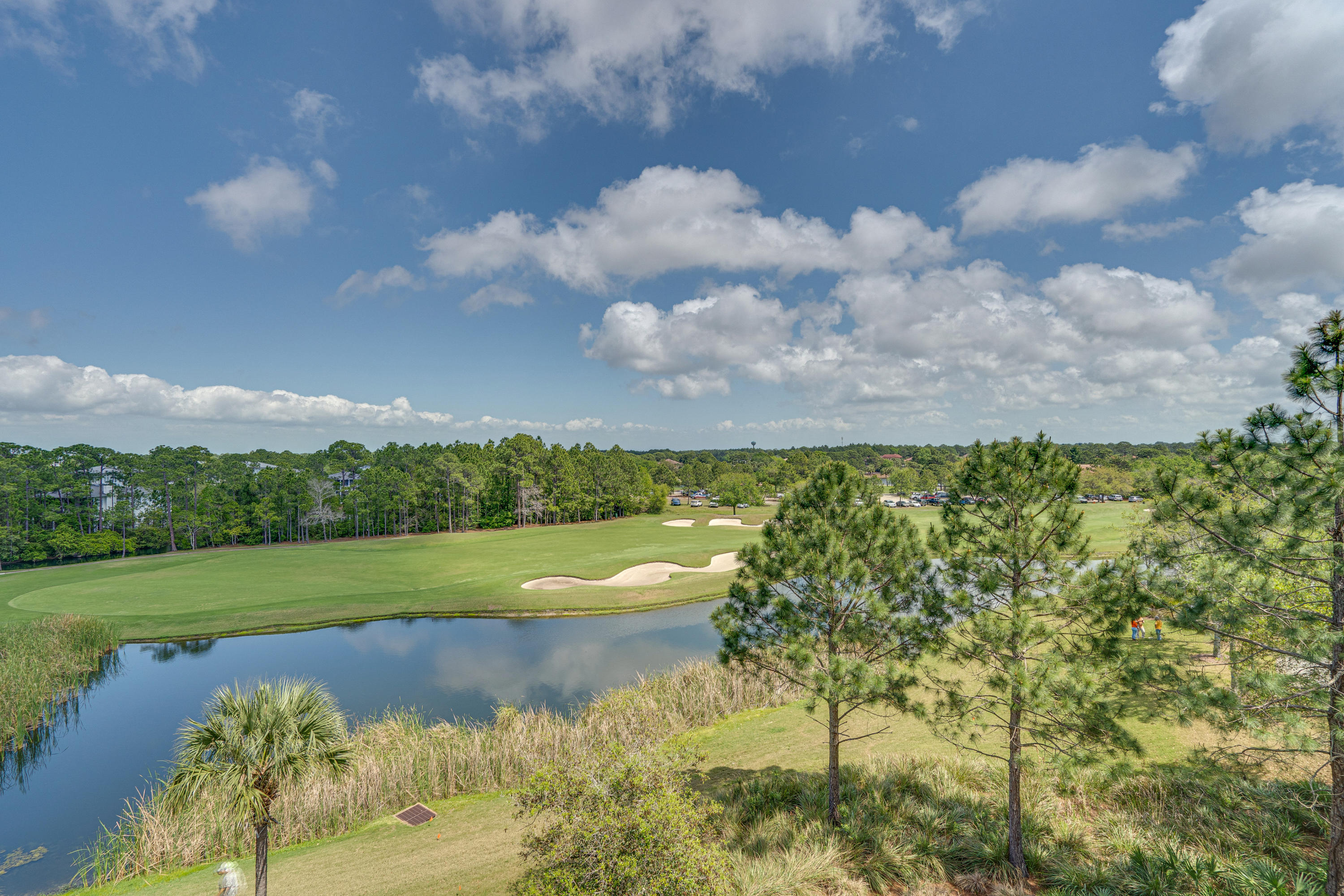 Elation - Residential Lease