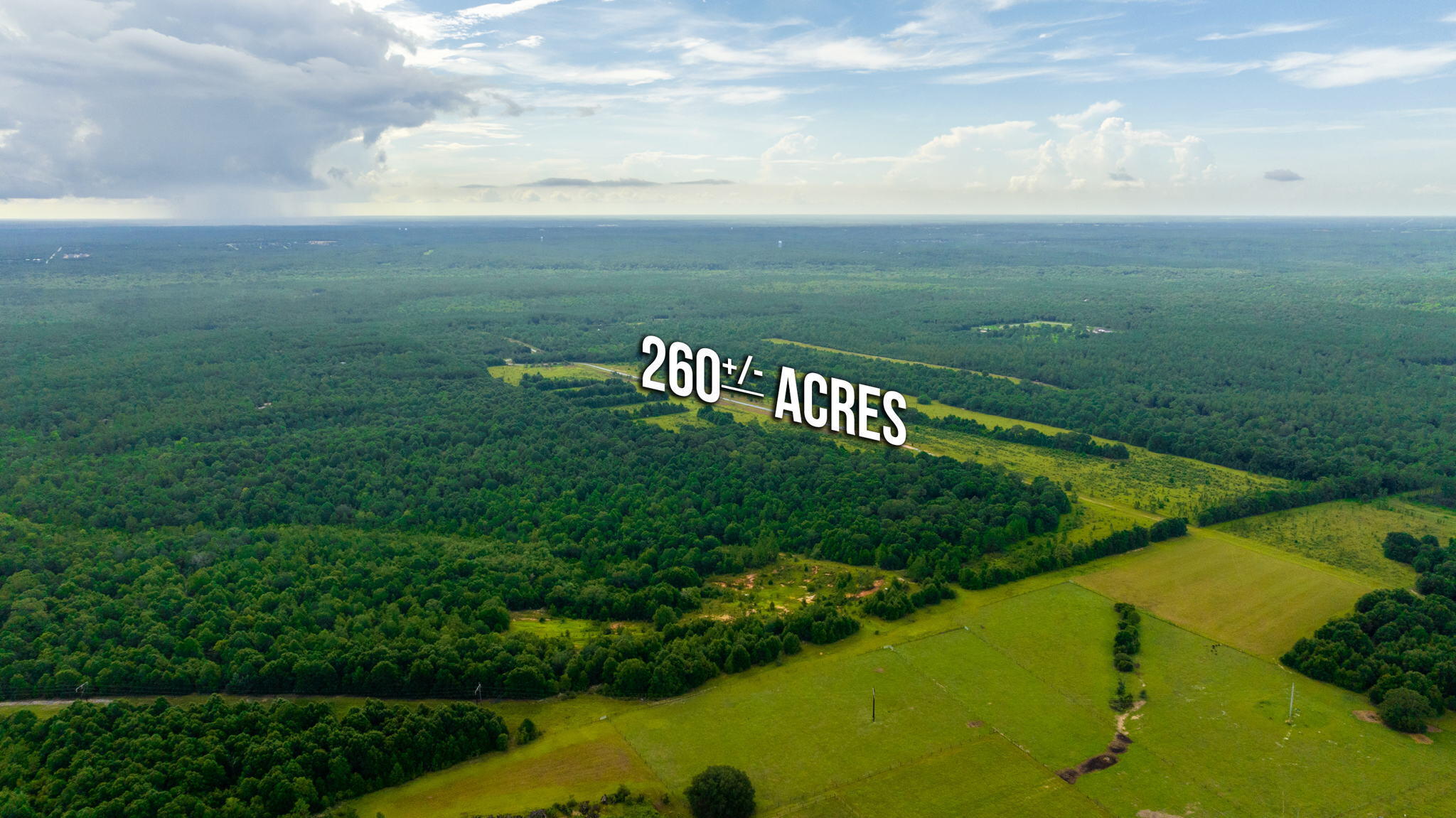 Long Branch Farms - Farm