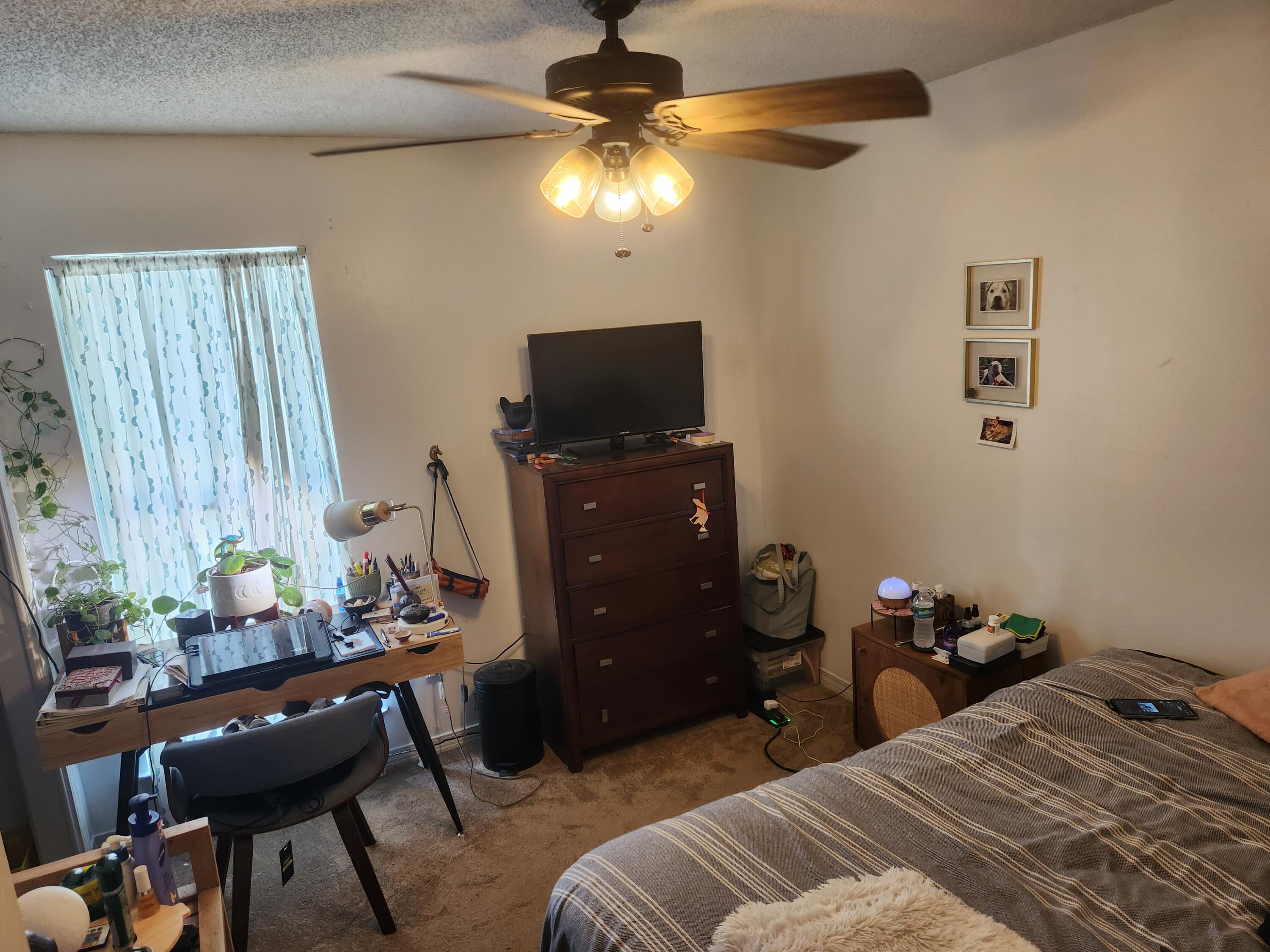 BLUE PINE VILLAGE PH 1 - Residential