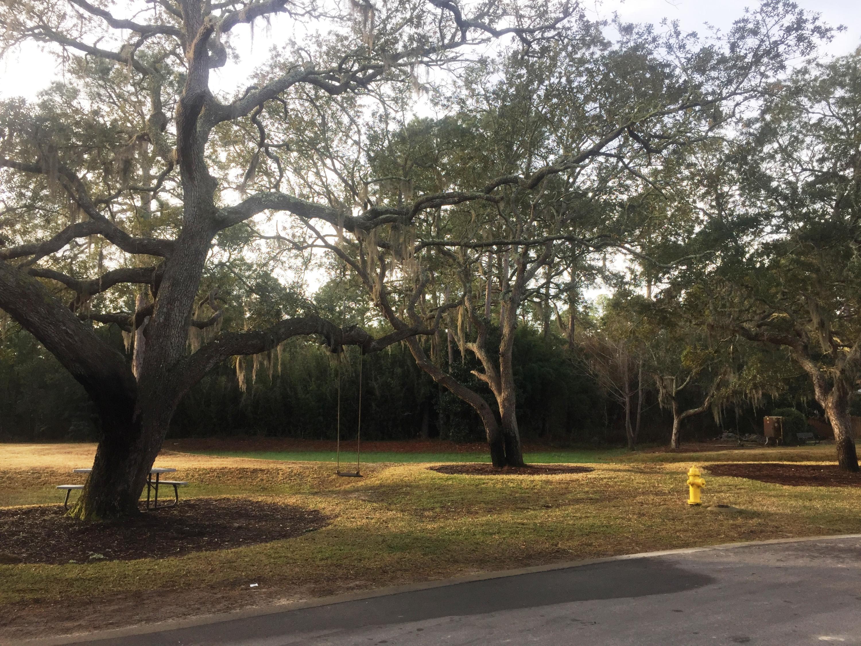 CARSON OAKS - Residential