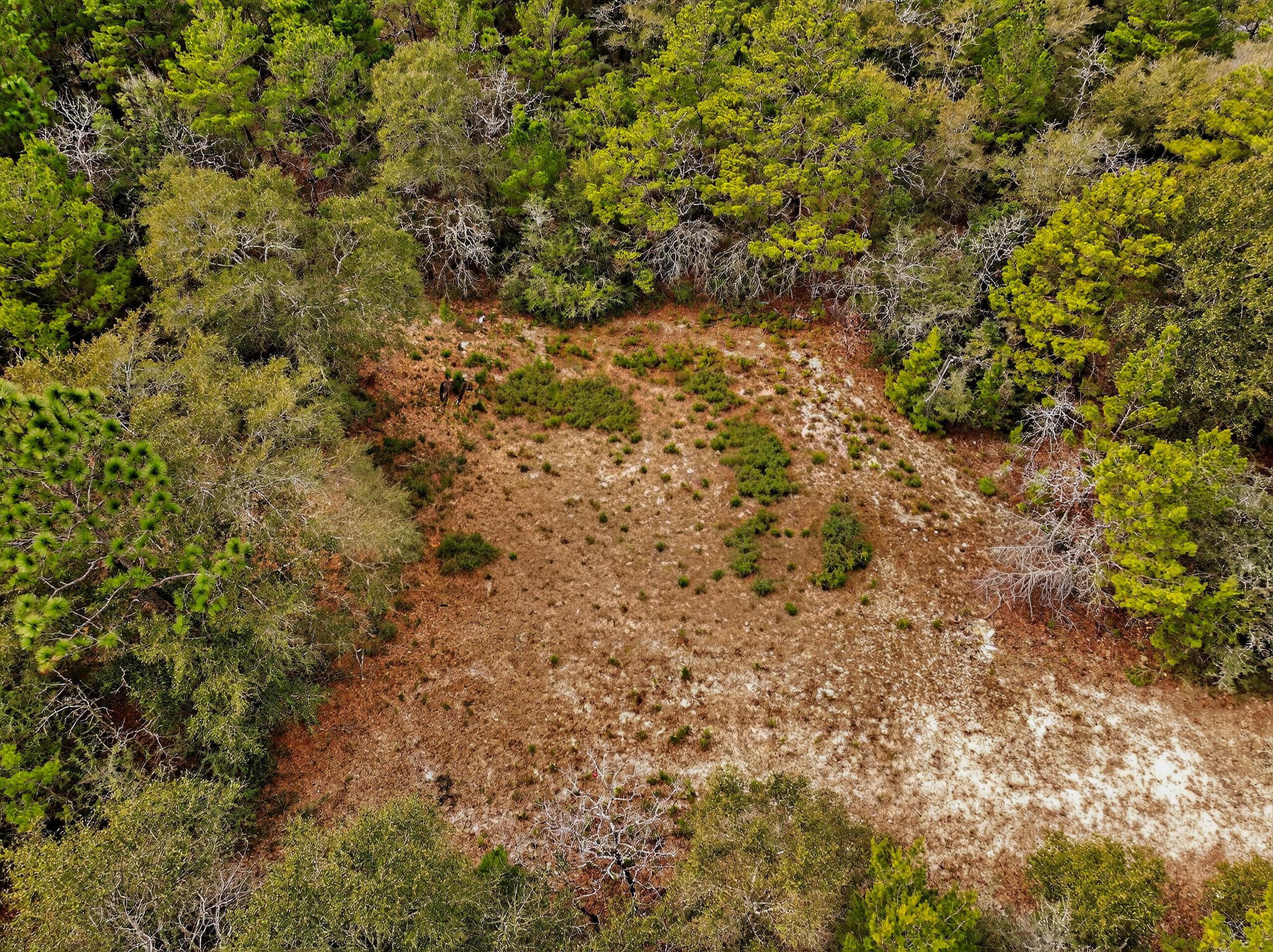 LAKE TANTARA III - Land