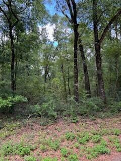 Price Reduction as of 3/13/2025 Motivated seller's! Attention investors! Beautiful 5.1 acre parcel located in Lakewood Plantation within 500 feet of King Lake in historic DeFuniak Springs, Florida. King Lake is a 500 acre plus spring fed freshwater lake that is widely known for its great largemouth bass and bream fishing. Parcel is wooded with large mature oak trees and has a partially cleared area for a home or campsite. Land is located at the end of a paved street with a Cul-se-sac with electricity and public water available. No assessment or HOA fees are required for this property. Located @ 5 miles from DeFuniak Springs and only 30 minutes from the beaches of South Walton with local shopping, dining and entertainment along the Emerald Coast of Florida.