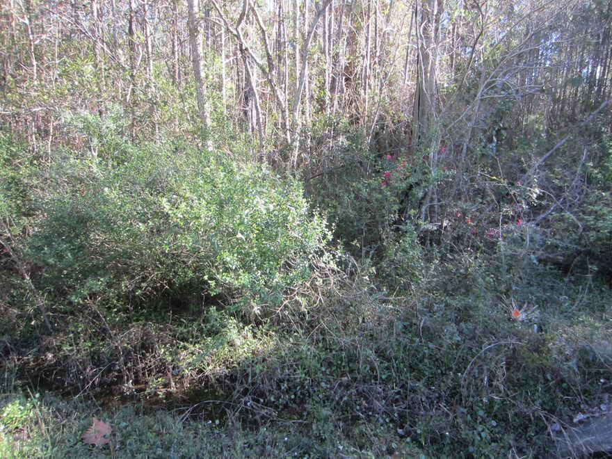 Large residential lot with 75 feet of frontage on Churchill Bayou Road.  Great location and over 1/2 acre.  Public water and sewer are available. This area is central to quality and a variety of restaurants, shopping and the beautiful white sand beaches of South Walton.  There is no HOA so you can build the home of your preference.  Boating, fishing and water sports are readily available in the immediate area by accessing the Bay at Cessna Landing.