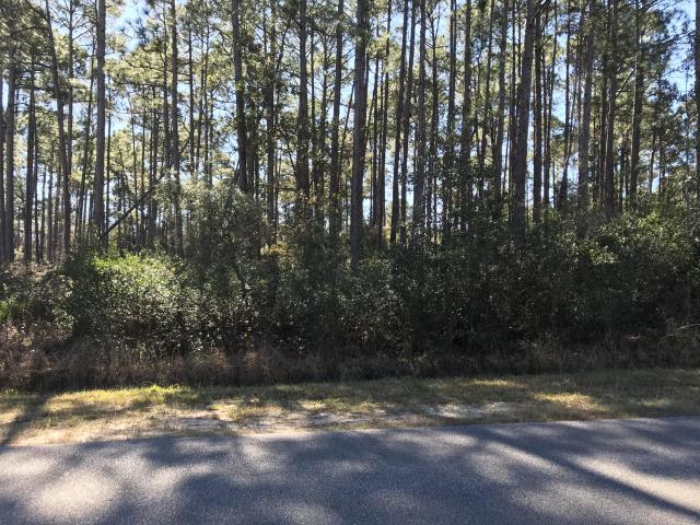 HOLLEY BY THE SEA - Land