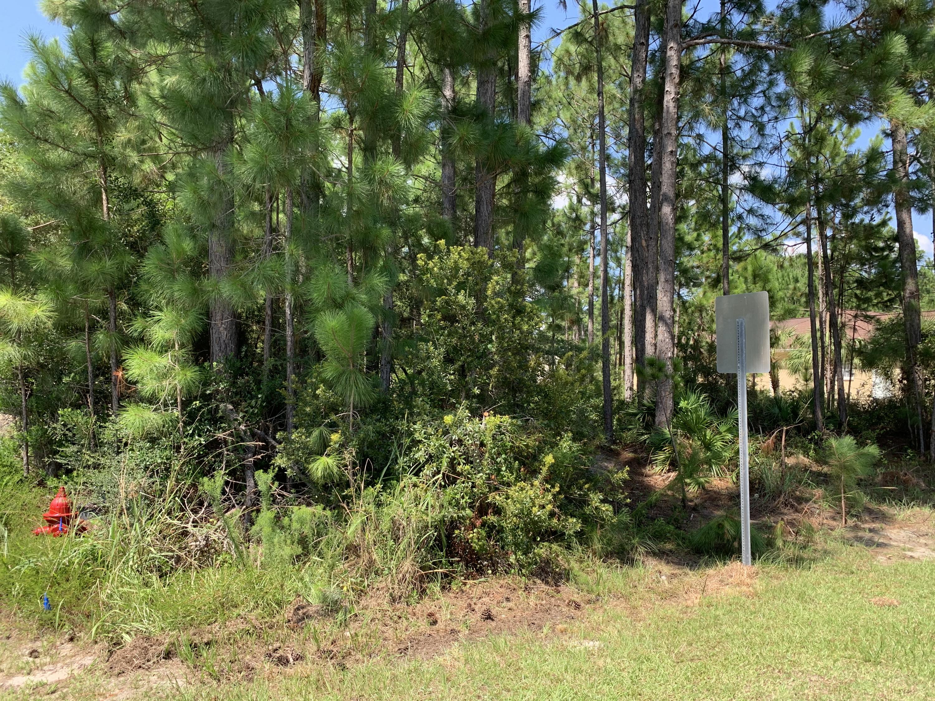 HOLLEY BY THE SEA - Land