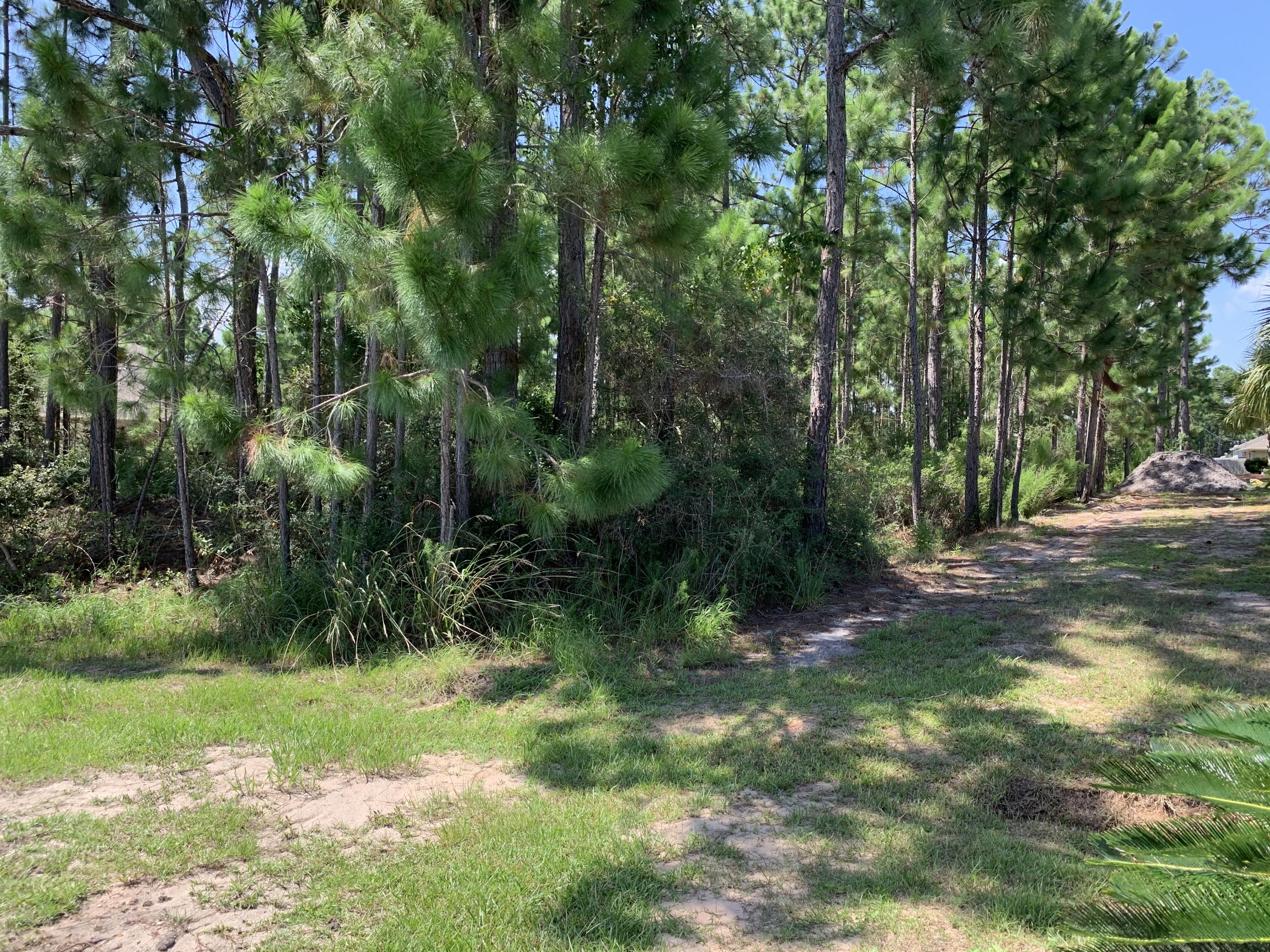 HOLLEY BY THE SEA - Land