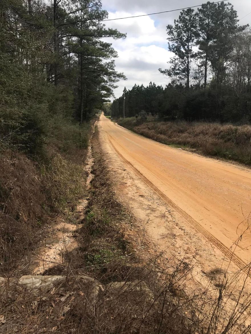 PRICED TO SELL!Looking for a private retreat? This 6.8 hillside acreage has a camper, septic, well and electric with covered roof all ready for a weekend getaway! Wooded, quiet and peaceful! Great opportunity for someone wanting something already set up so you can begin feeling how the area is before you build your permanent home. A must see! 6 miles from Vortex Springs and just a few more to I10. Cash buyers only. 2004 Luxor 33 Foot Camper.