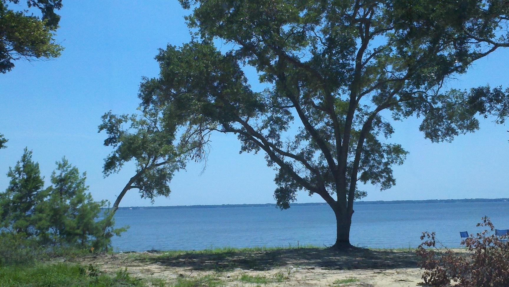 GREAT PLACE TO WATCH THE SUNSET OVER THE BAY!! Rare find on Choctawhatchee Bay - a waterfront lot in the ''X'' Flood Zone meaning no required Flood Insurance! Robola Bluffs S/D has Restrictive Covenants established. This Bayfront lot is cleared and ready for building. New seawall in place with rip-rap. Lot has City Water & Sewer Available. Several new homes near-by. Beautiful homesite waiting for a new owner to make this a spectacular showplace!