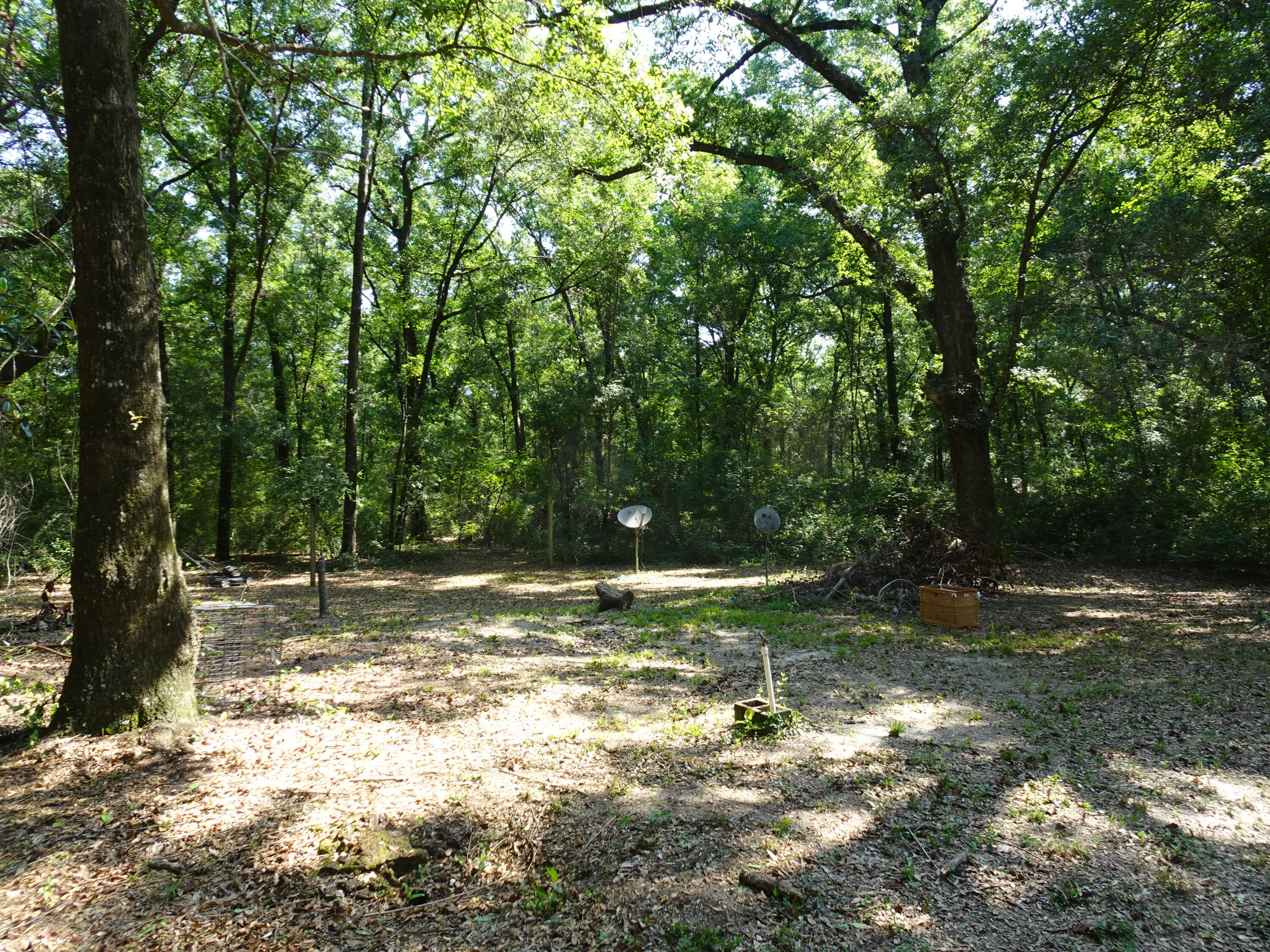 Located South of I-10 just off of US Hwy 331 S. 3.7 wooded acres with an area for a home already cleared. Property currently has an older mobile home in very poor condition - no value has been given to it. Well and septic are on property. Surrounding properties have new homes being built. Excellant location for a new home or manufactured home. Trees are beautiful with a variety of hardwoods. Being sold as-is.