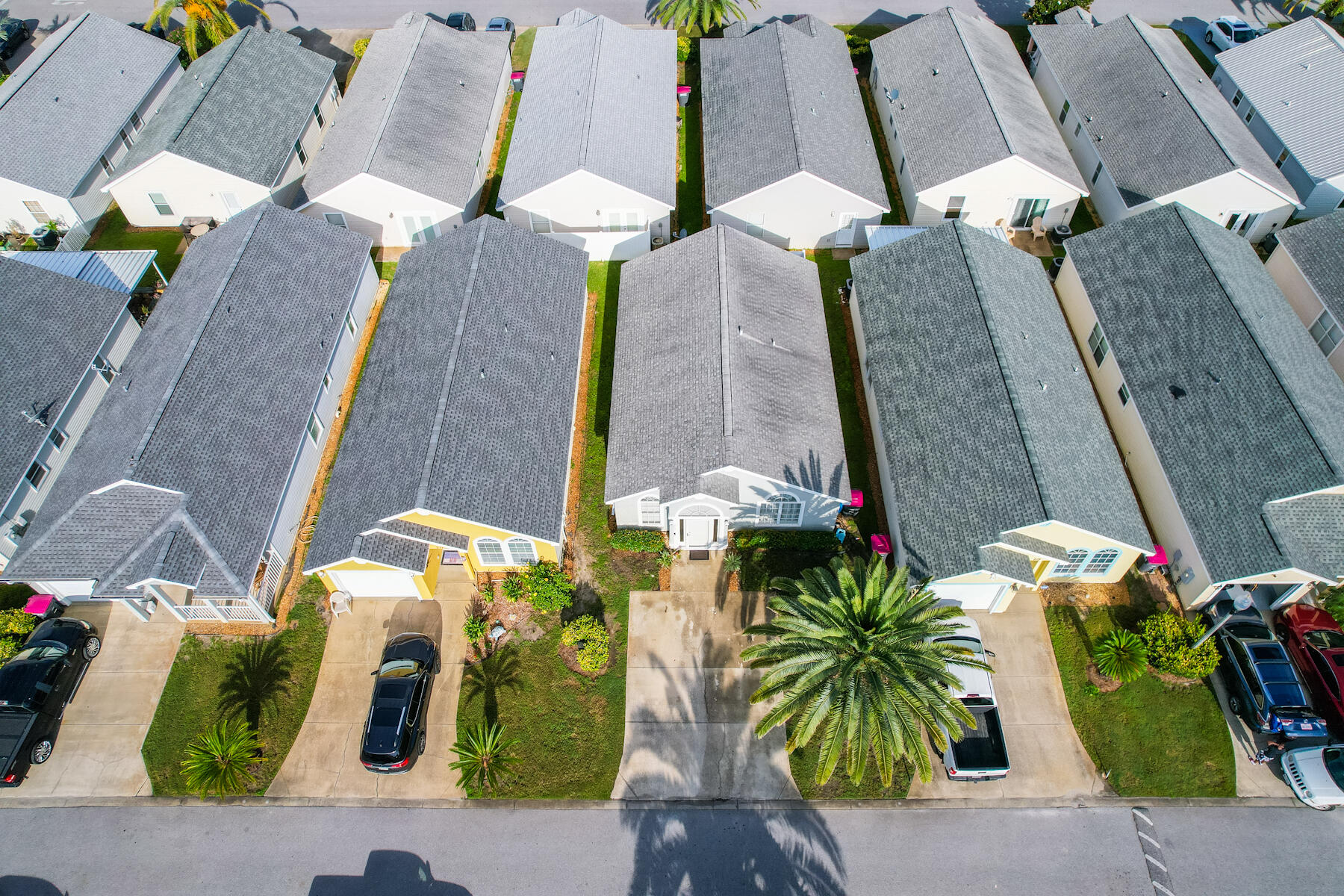 Palm Cove - Residential