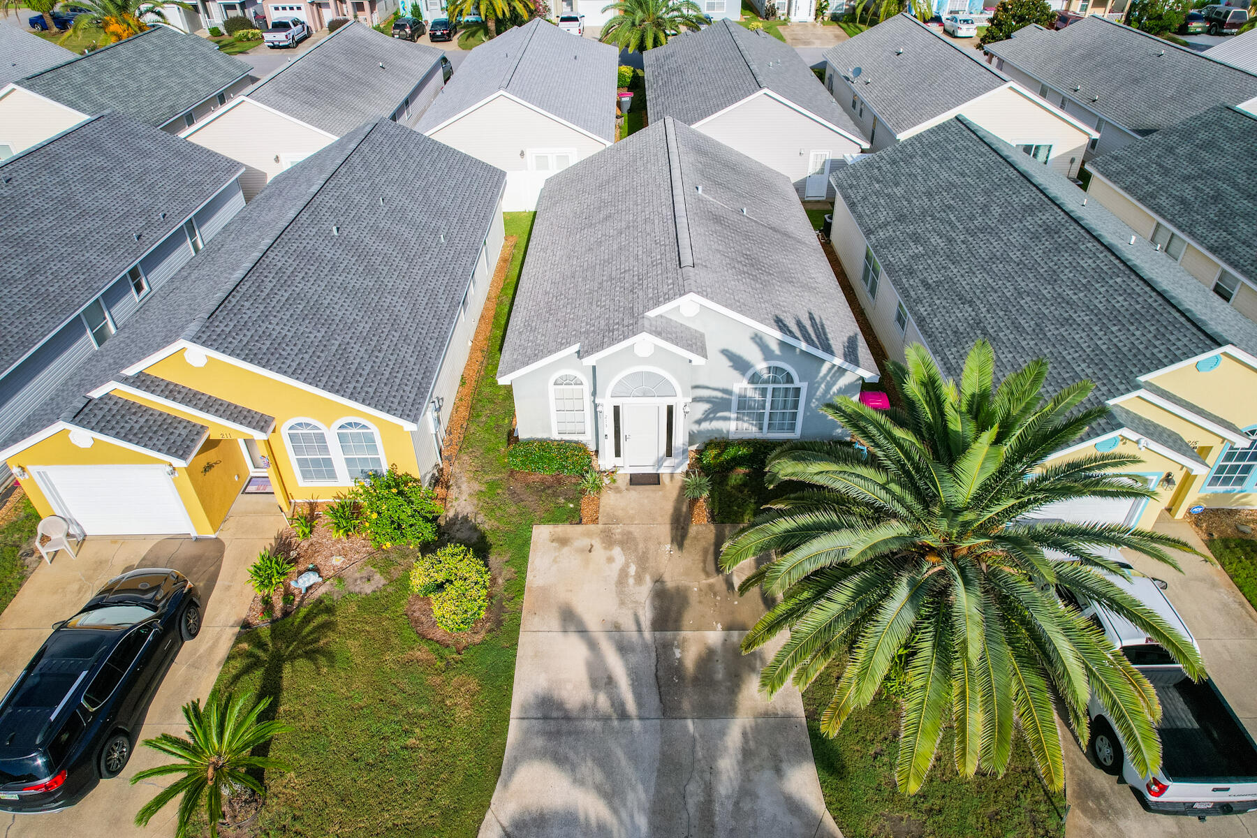 Palm Cove - Residential