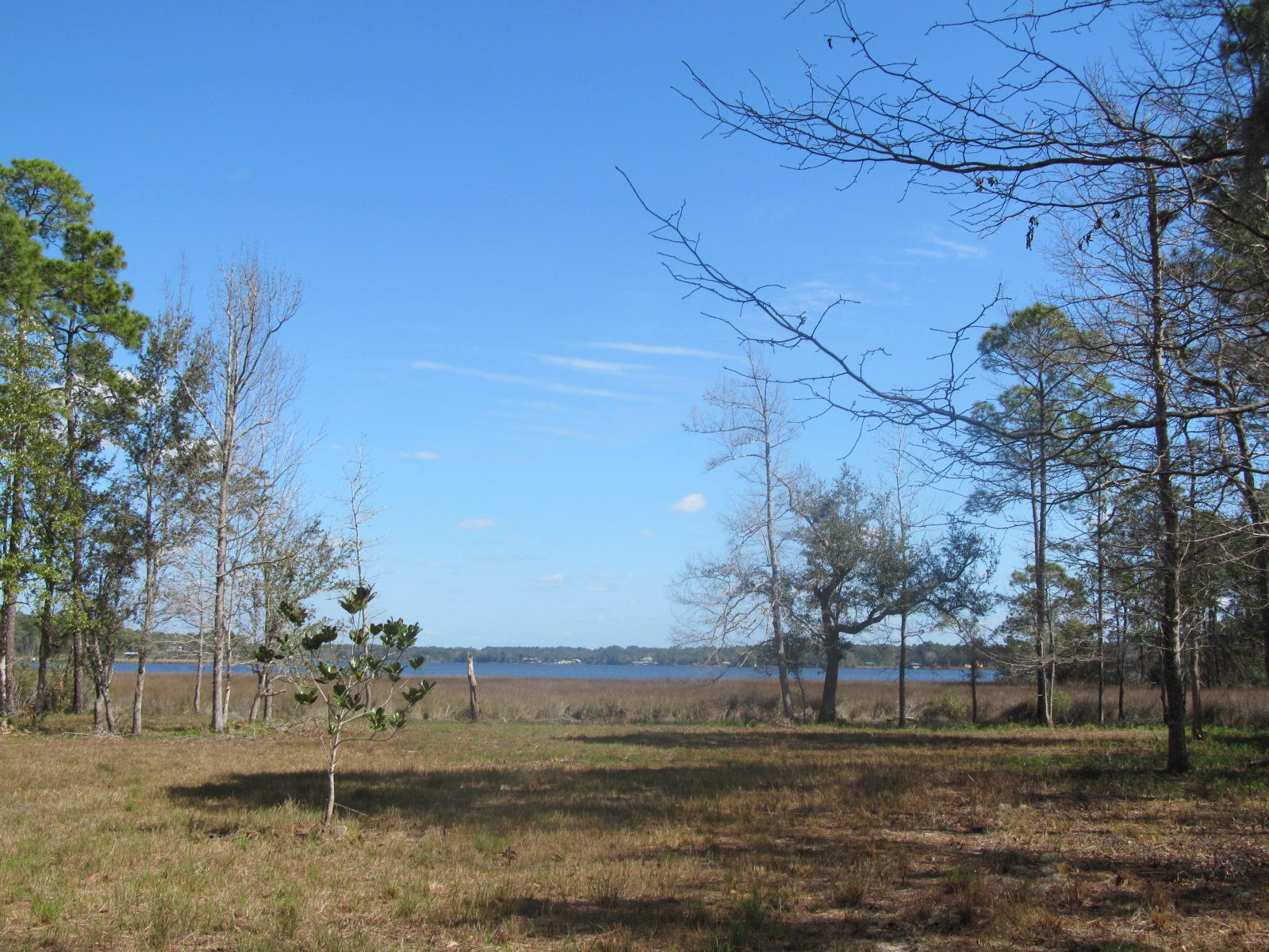 CROSS CREEK SHORES - Land