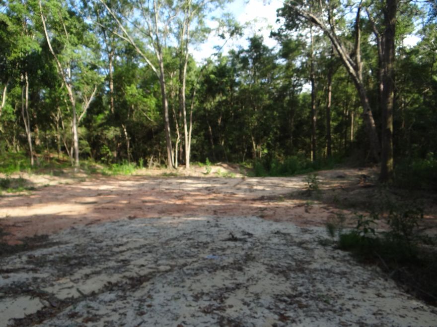 Bring the Blueprints! 1 acre (2 combined lots) lot within walking distance of growing historic downtown. One of the lots is already cleared and ready for you to start building. Survey is current. Seller has topographic. Property is half mile from Circle Drive, 3/4 mile to historic downtown with shops and eateries, 1 mile from Walton Middle School, and 2 miles from major grocery stores.