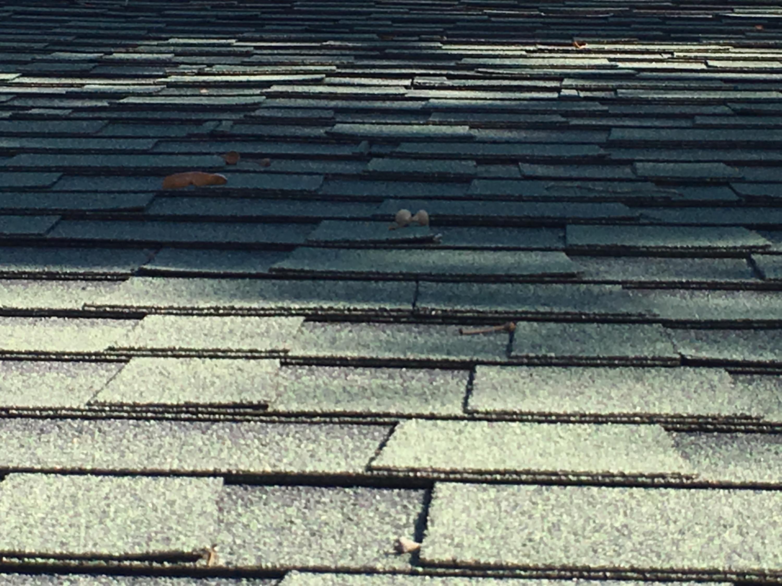 Leonne - Residential